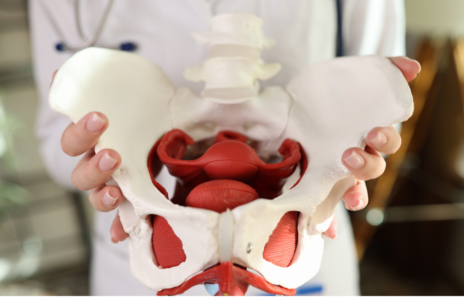 Therapie bei Scheidensenkung Limburg